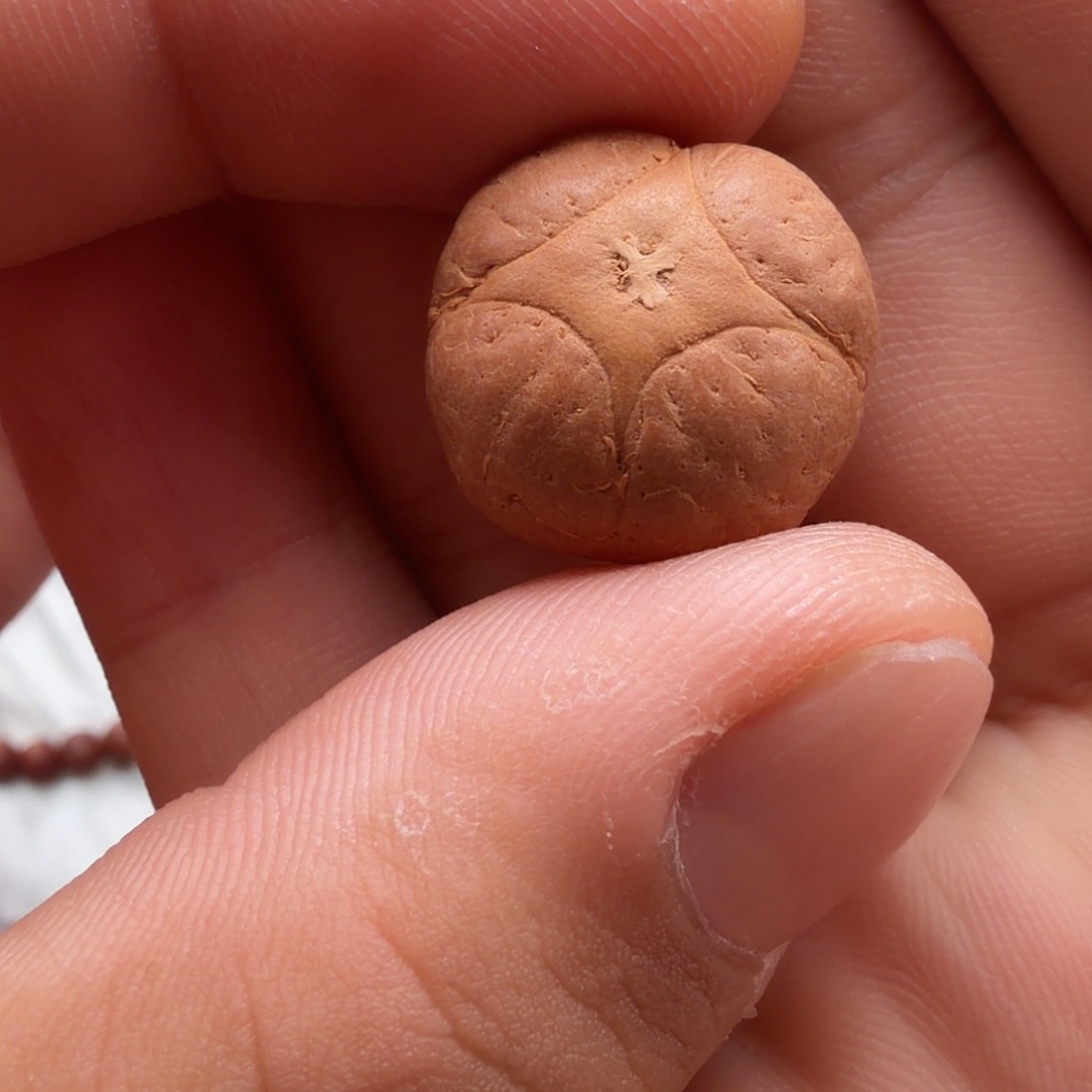 6***安凤眼菩提吊坠麒麟