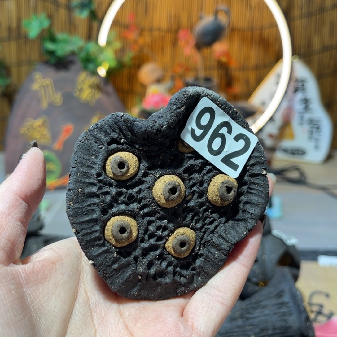 木村信弘柴烧保平