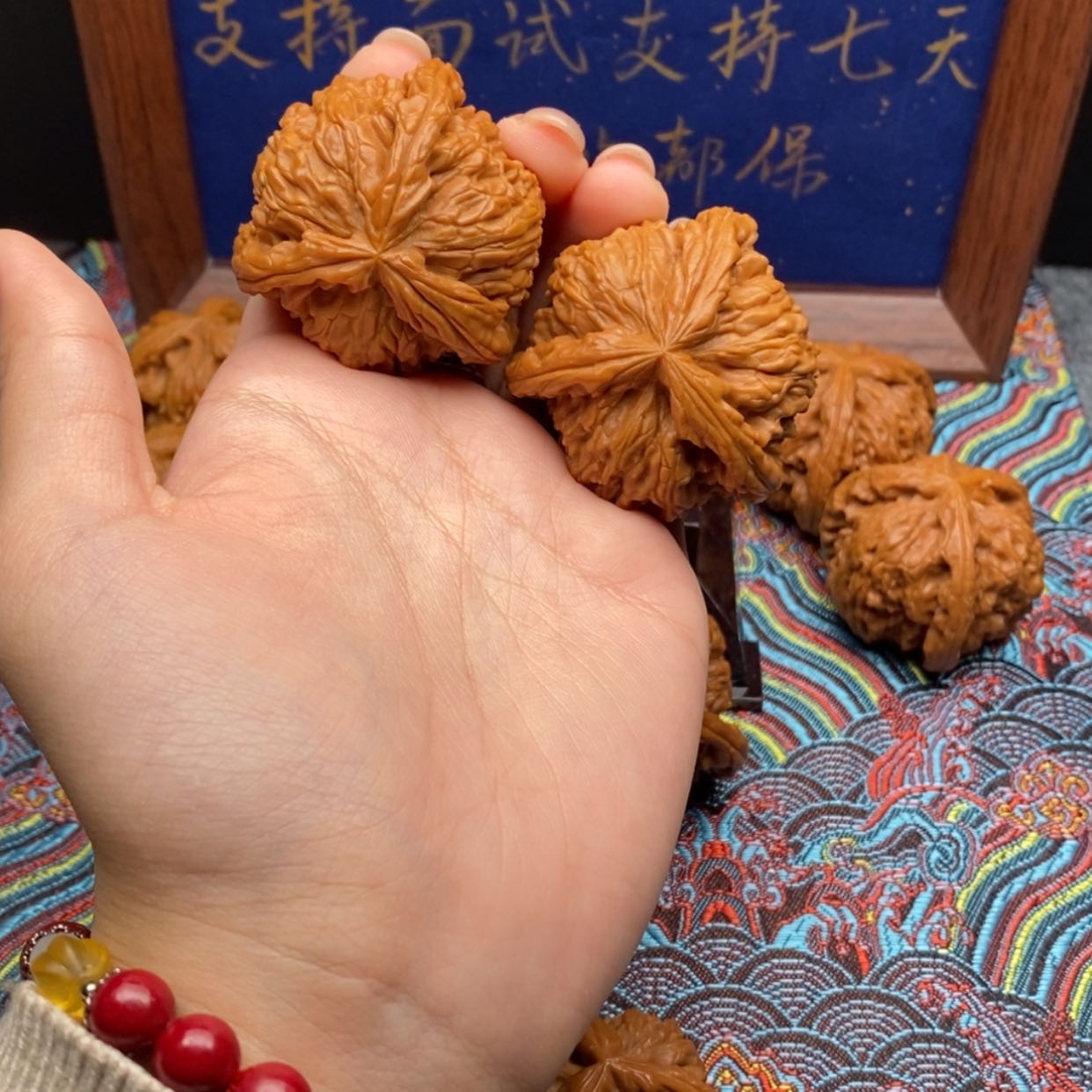 【闪购商品】梦*狗白狮