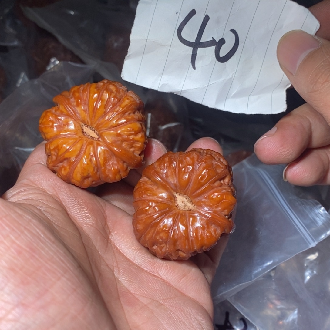 41南瓜墩。        