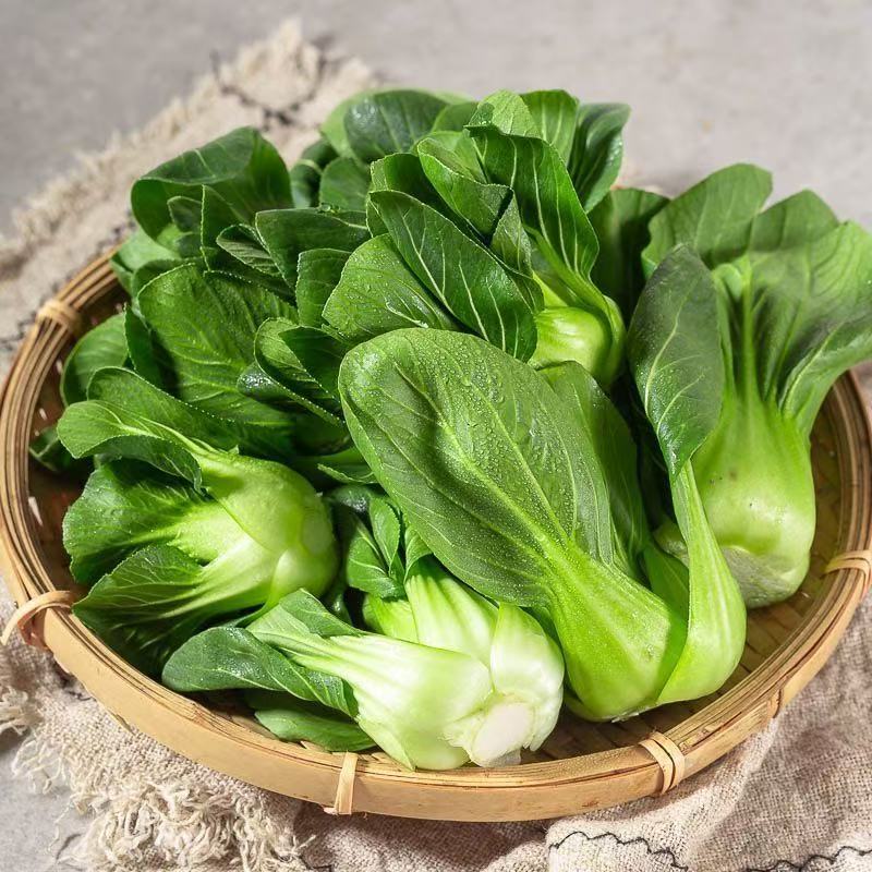 顺丰包邮老家打霜的各类青菜