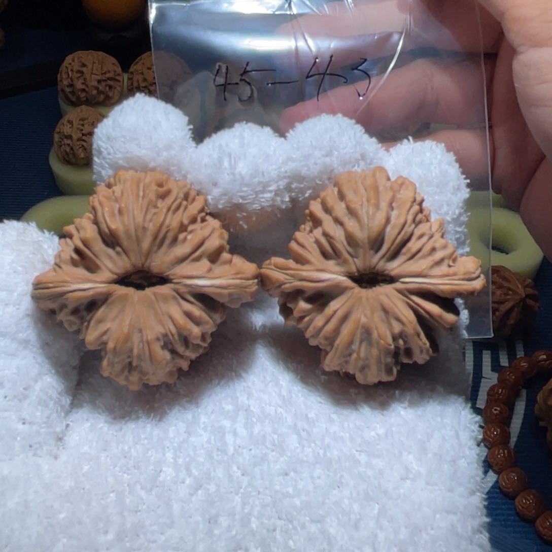 我***的把件文玩核桃蓟县楼45-43全品