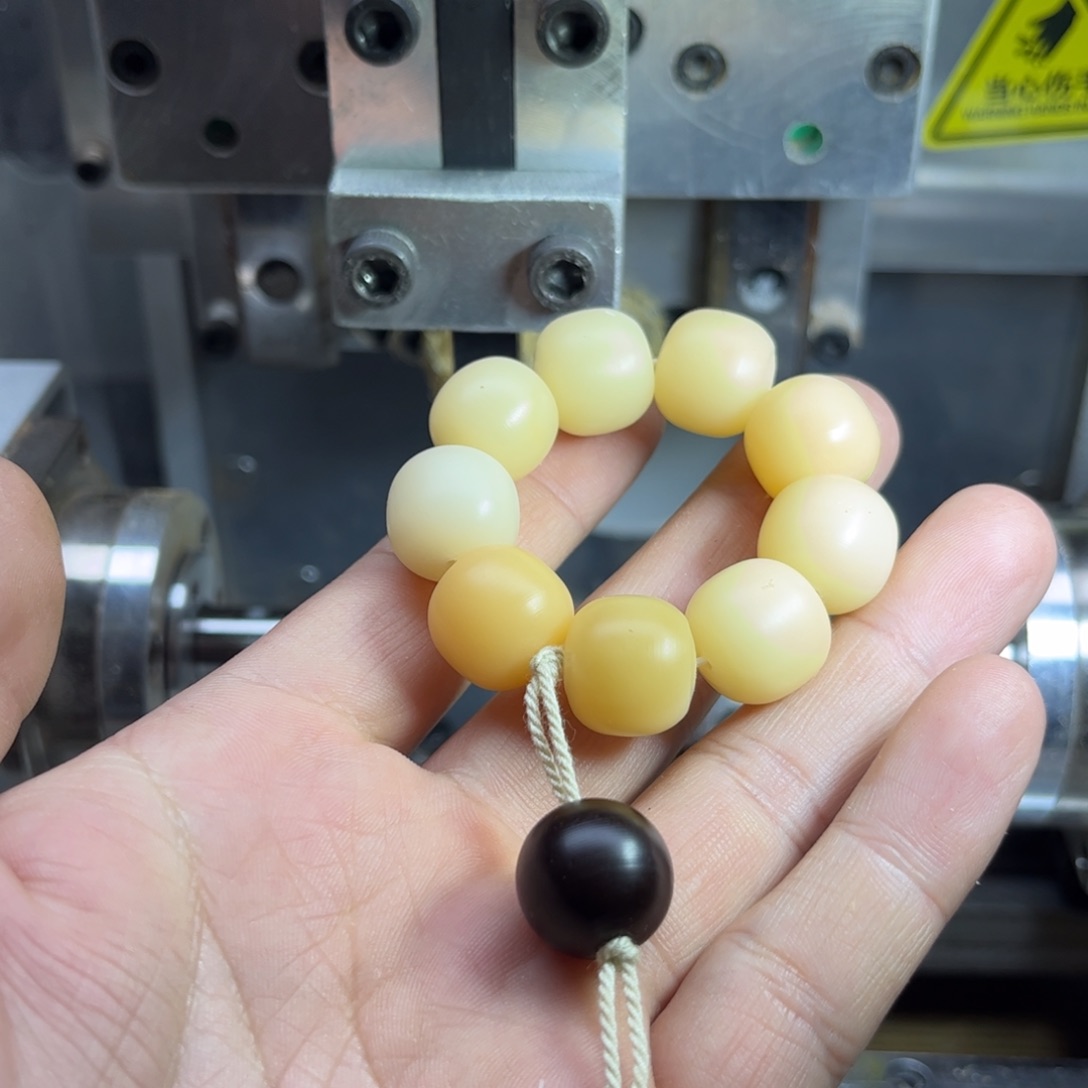 吊坠菩提根/象牙果