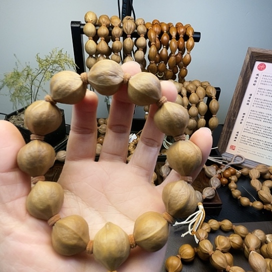 手串/手链橄榄核07。 19*22