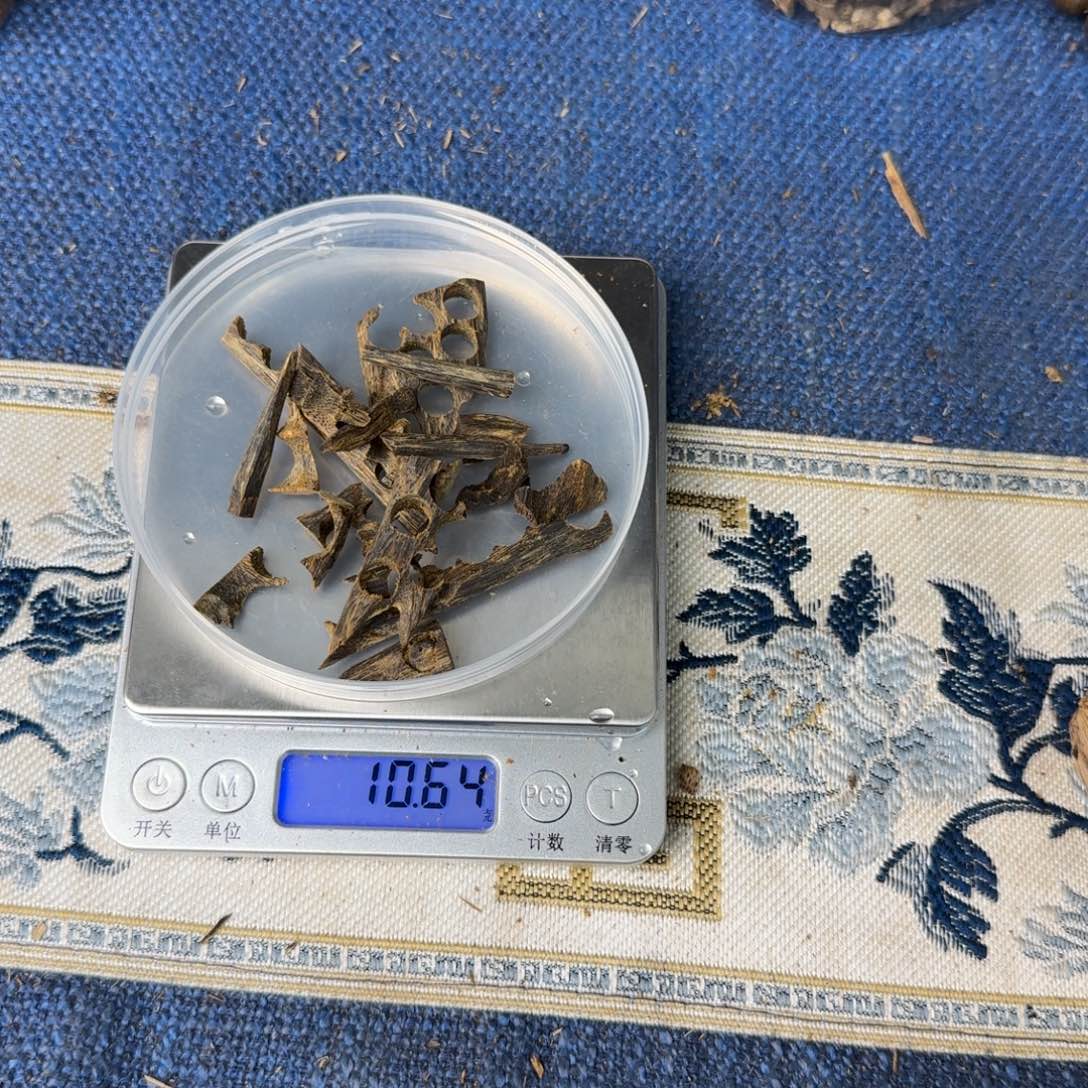 沉香碎屑沉香乌身圆叶淳化老料10克