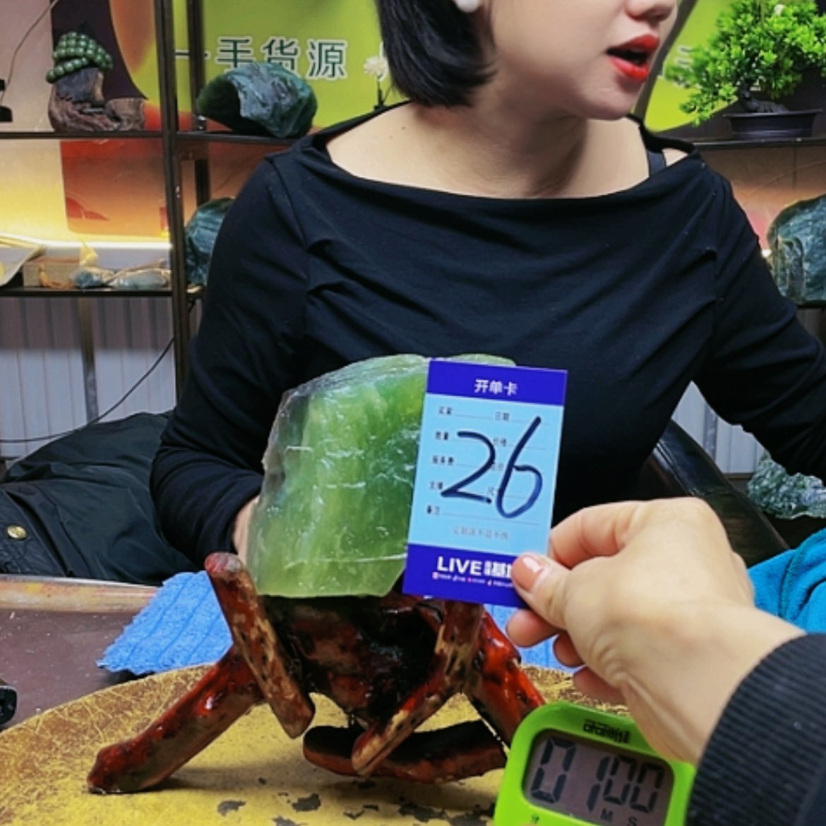 【闪购商品】蛇纹石玉原石未镶嵌章*鱼