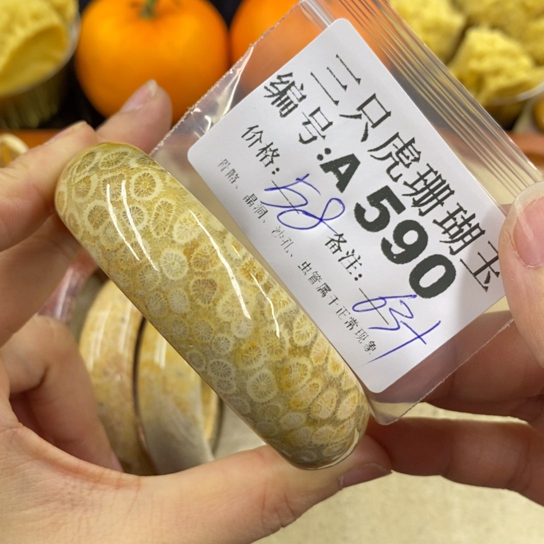 硅化珊瑚（珊瑚玉）1未镶嵌大***@
