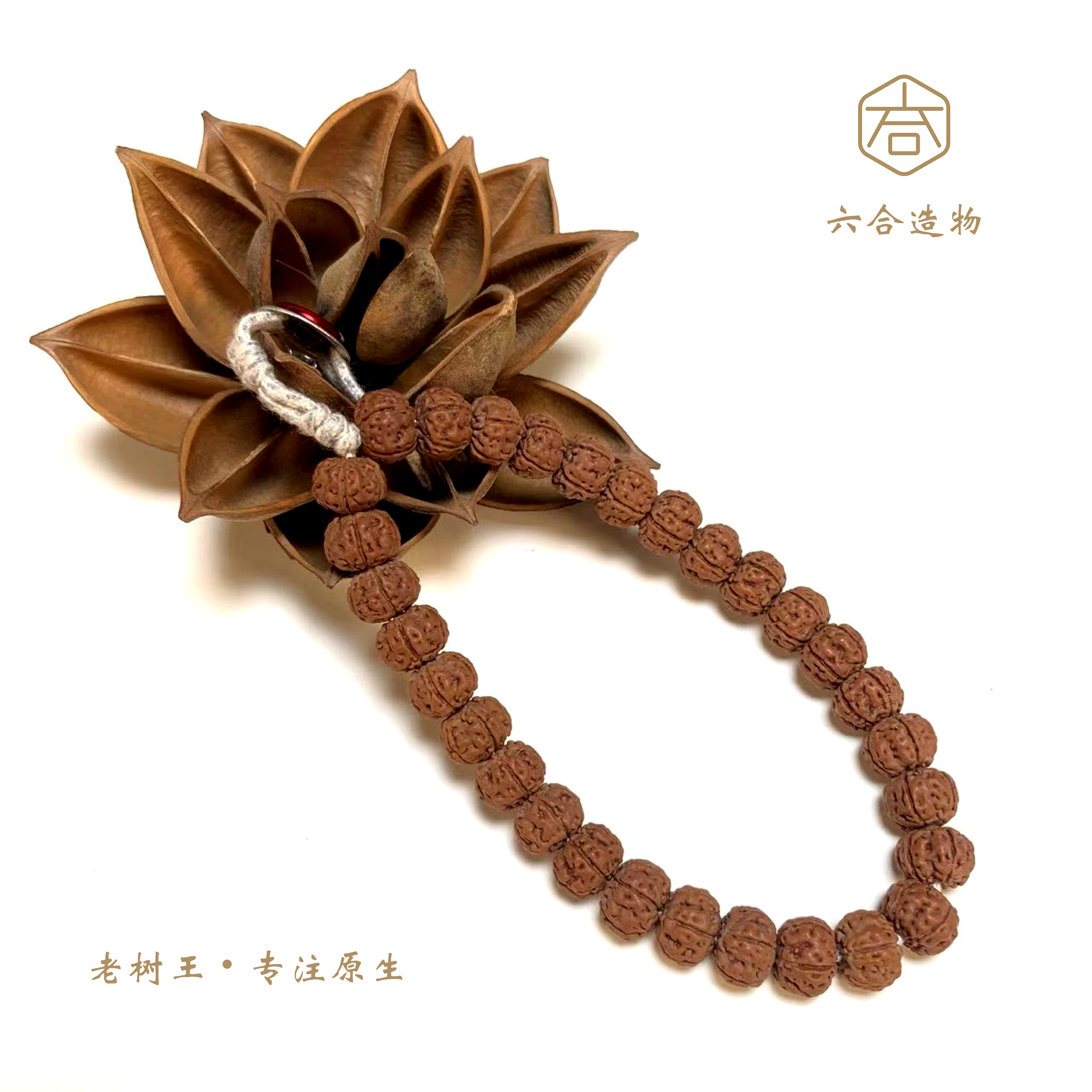 【元-老树王】六合造物小金刚菩提秒沉水矮桩原生态树籽文玩手持