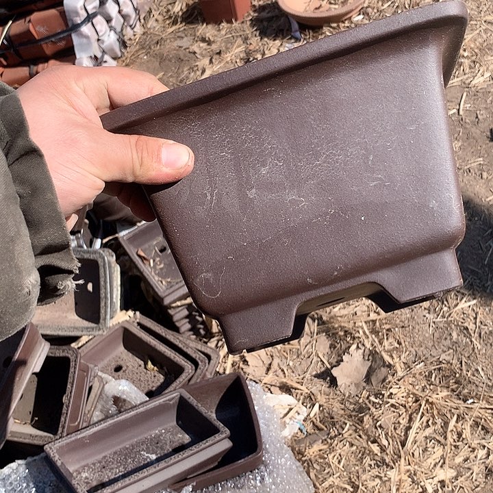 紫砂哈哈真的是太给力的样子