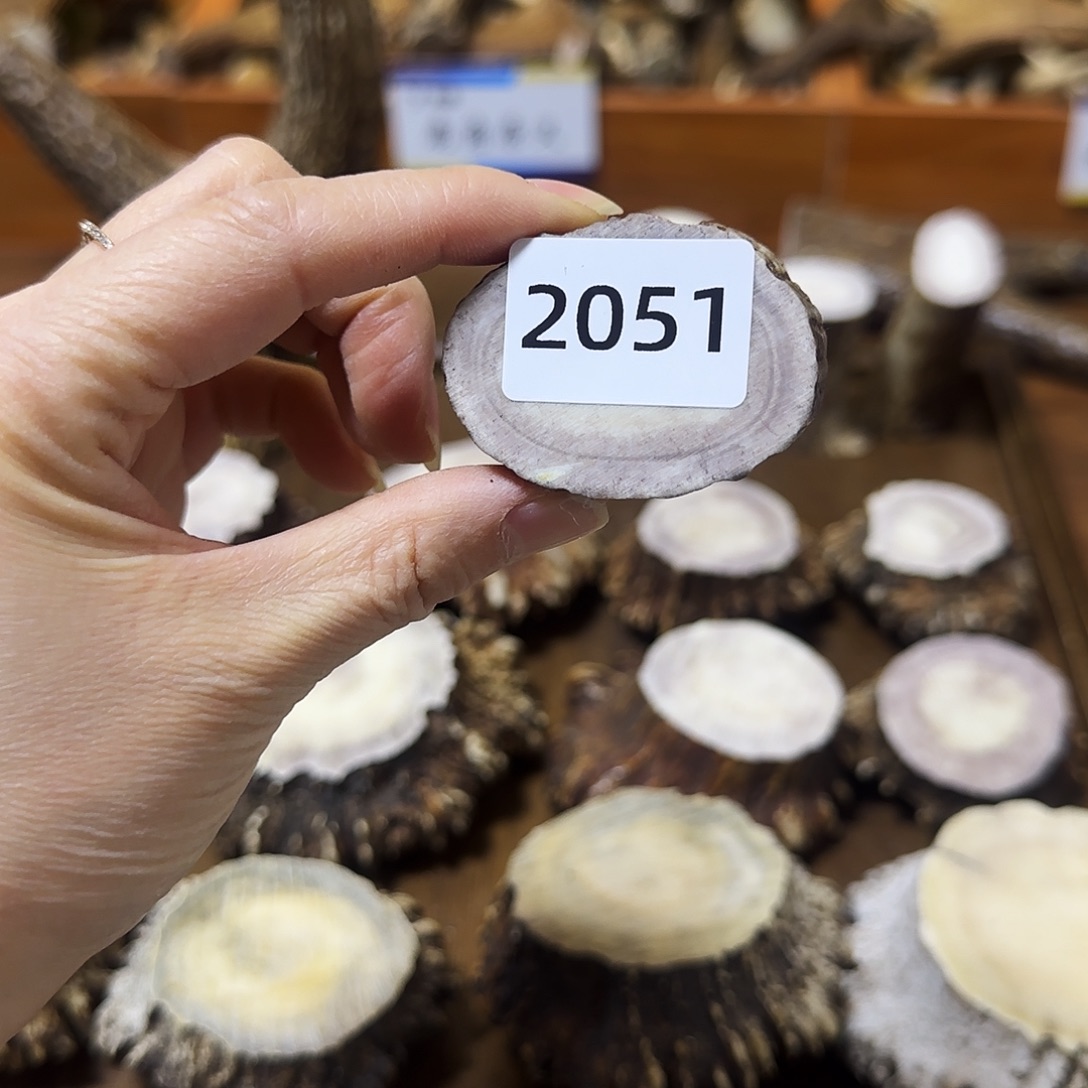 鹿骨手串/手链2051片