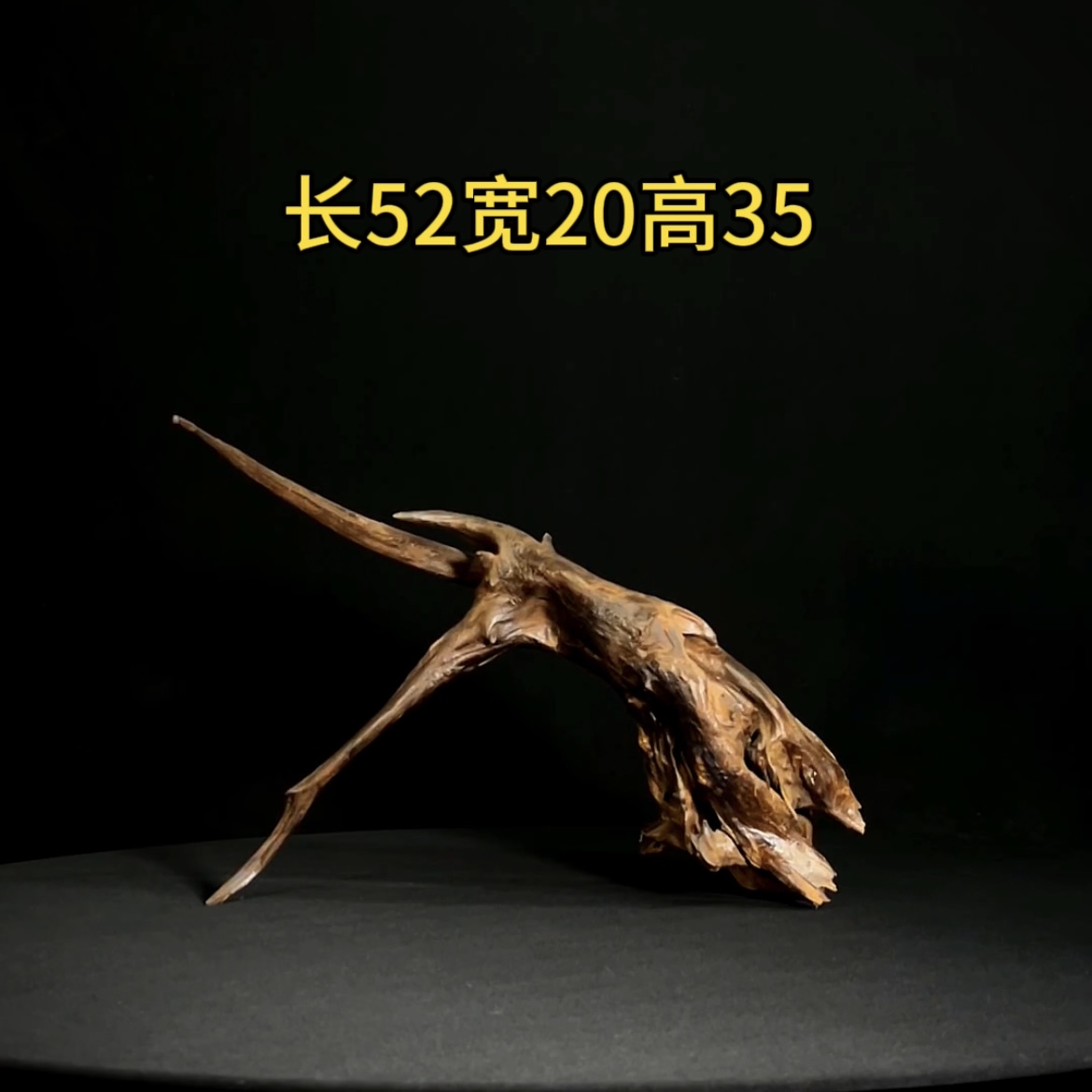 张大狼沉木鱼缸造景52cm长细拱桥飘枝沉木鱼缸装饰摆件