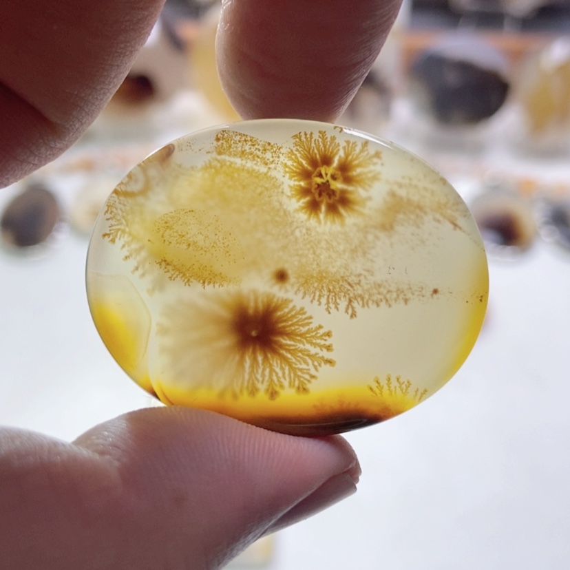 【闪购商品】玛瑙/玉髓颈饰未镶嵌