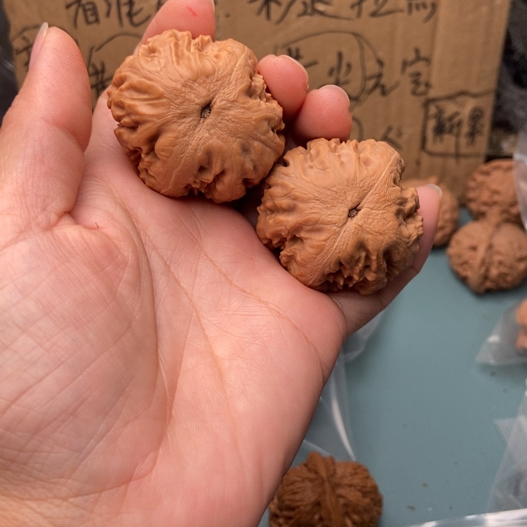 小***)吊坠文玩核桃霸王龙67