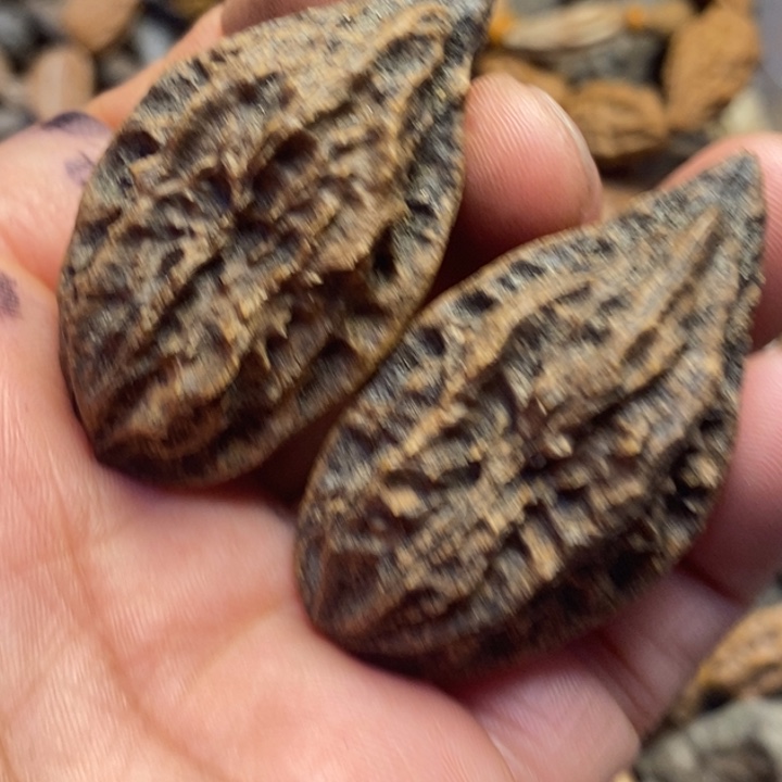 文玩核桃吊坠东北特产116