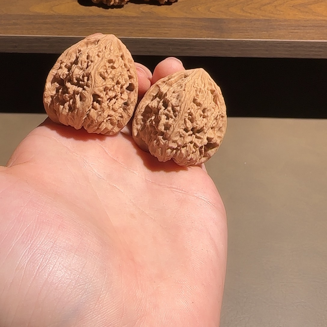 核桃38尺山地一代南疆