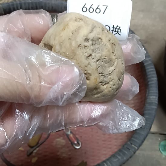 芳***辉瓷片6667号工艺品
