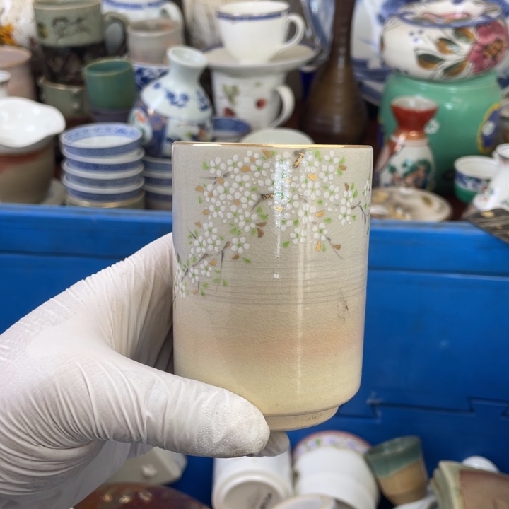 瓷片开播了开播了开播了