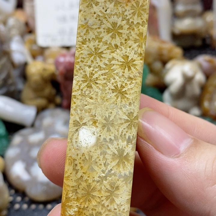 硅化珊瑚（珊瑚玉）颈饰未镶嵌