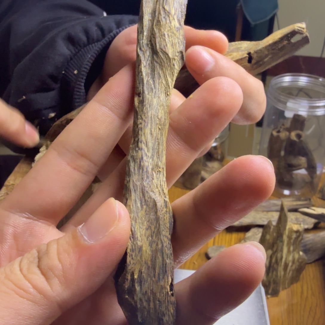 沉香碎屑沉香老白棋