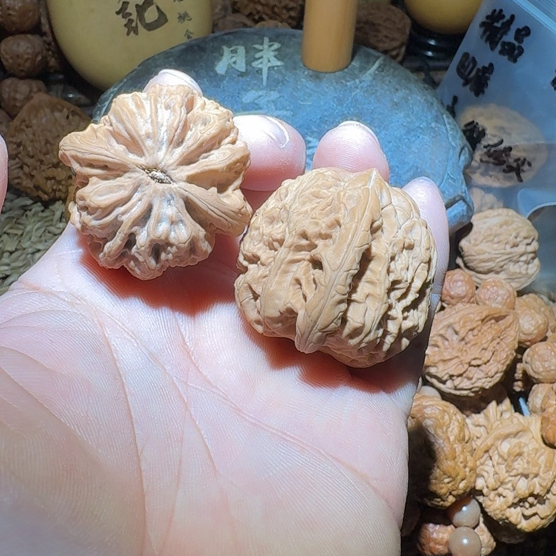 核桃37/37尺全品山地 暴雪