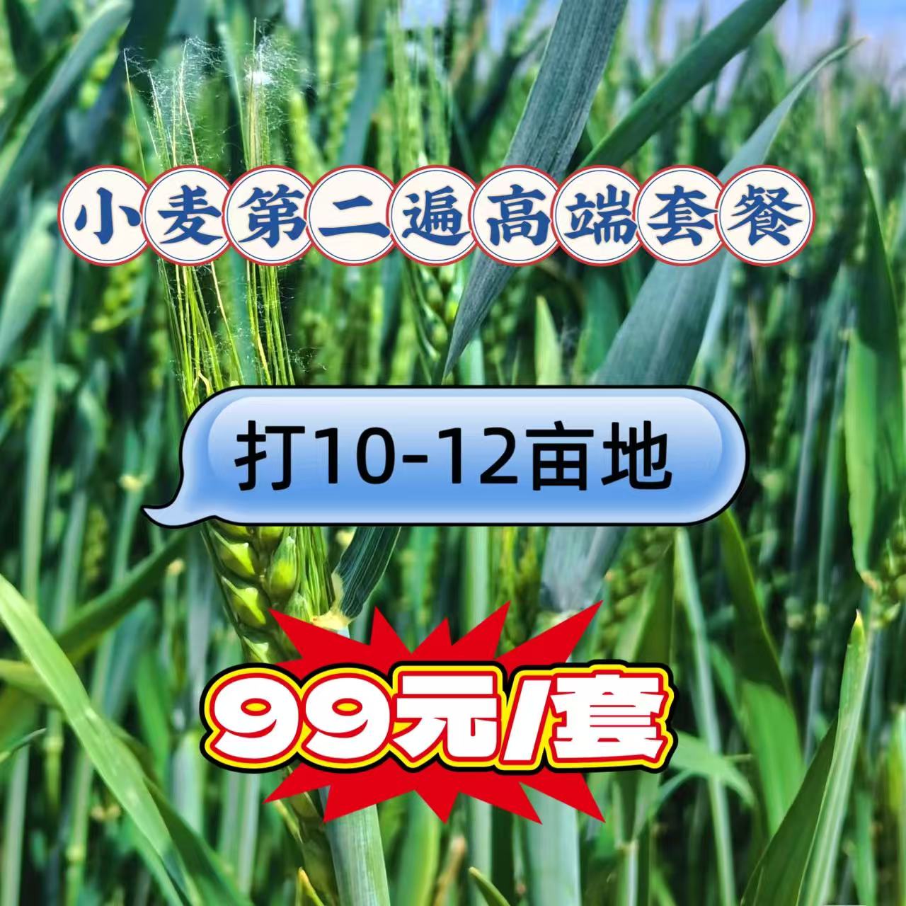 高端型小麦第二遍套餐增产增收一套10-12亩地