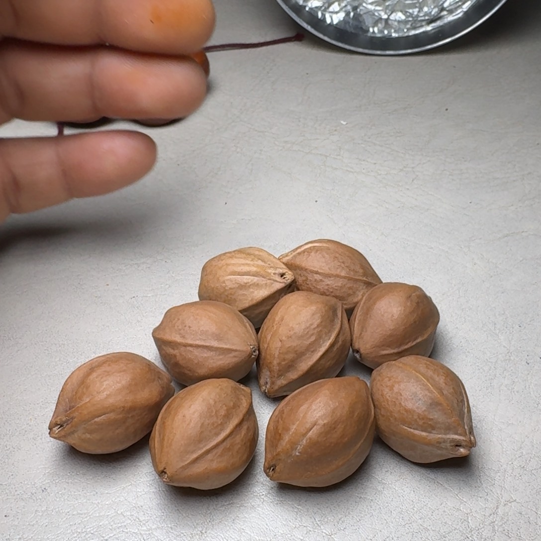 小***林橄榄核手串橄榄核