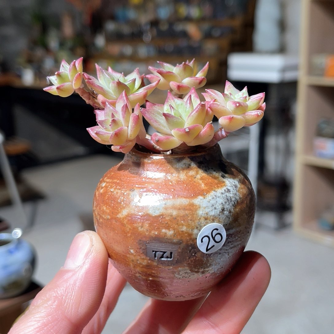 红陶内口2.5外高4.5