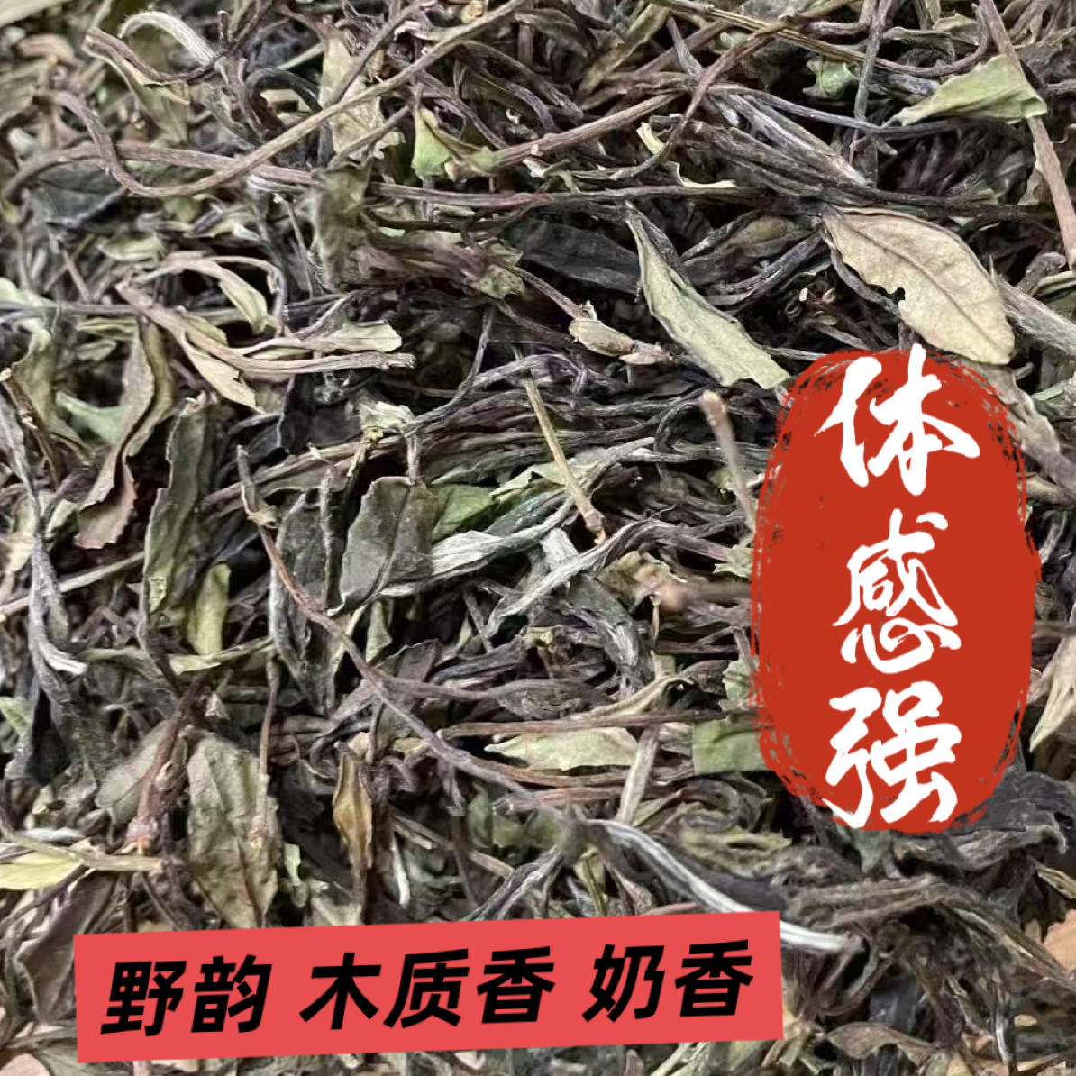 2016年荒野贡眉土茶品种香有性群体种花果香福鼎白茶高山药香散茶