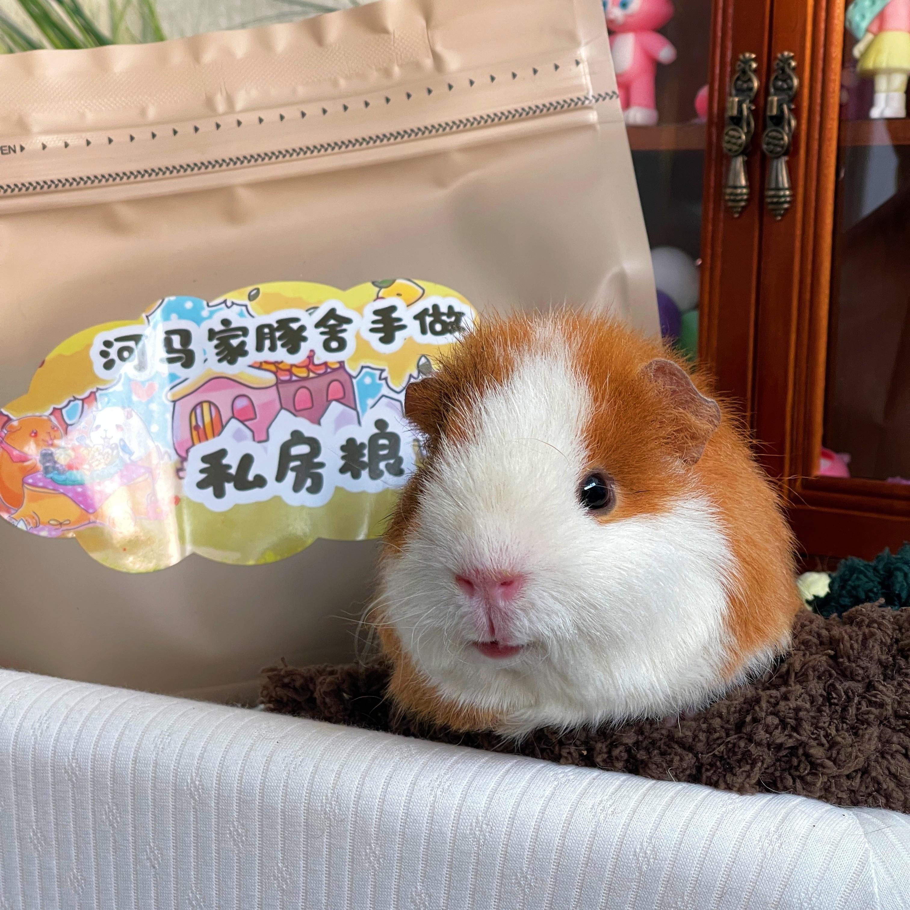 河马家手做豚鼠粮