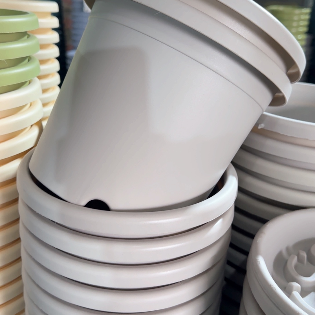 树脂托盘210灰白10