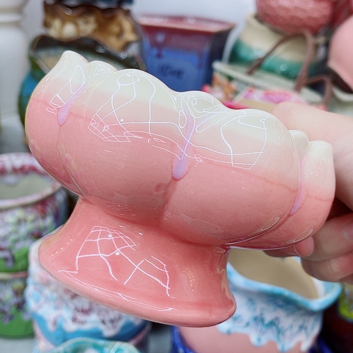 多肉植物陶瓷花盆