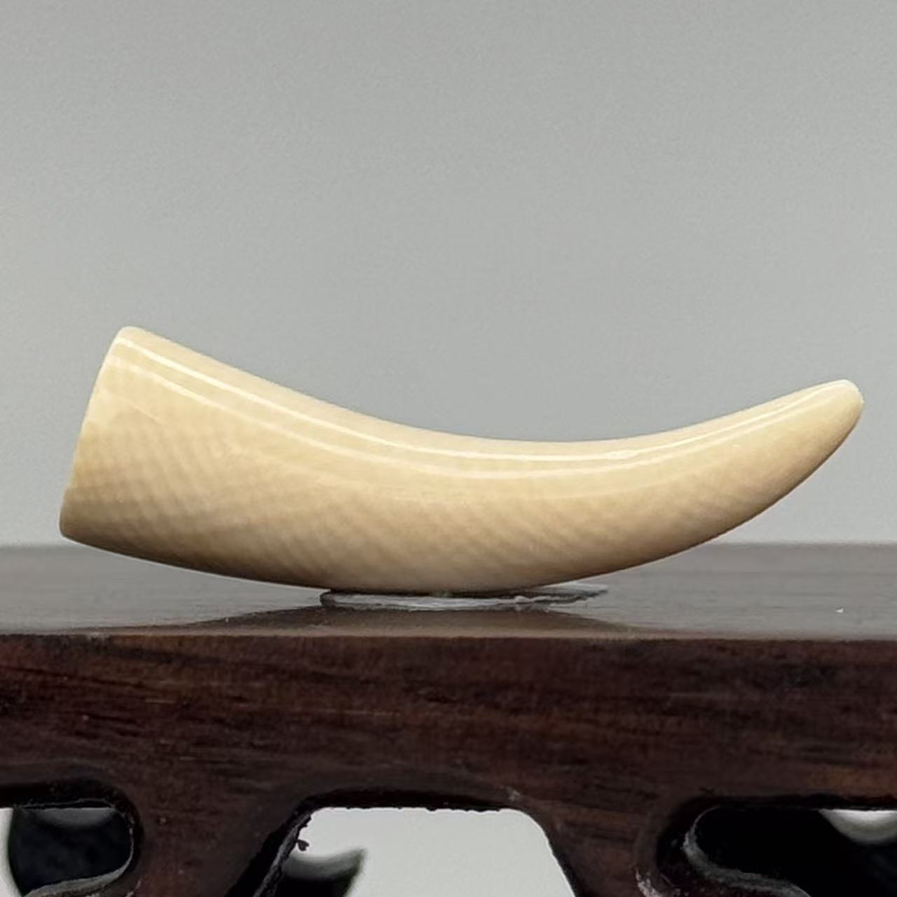 DEZHI/德志【有裂】1.6g牙尖29*8*9mm猛犸吊坠默认打孔吊坠绳k23