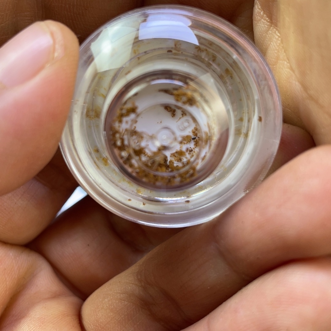 沉香沉香碎屑20年前2000万野生绿棋粉礼物1份