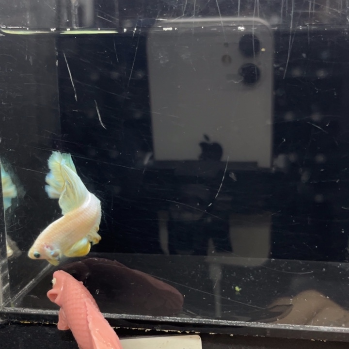 斗鱼哈哈哈哈哈哈214