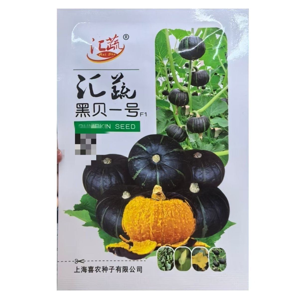 汇蔬黑贝一号贝贝南瓜种籽黑皮迷你小南瓜种子南北方春秋季播蔬菜