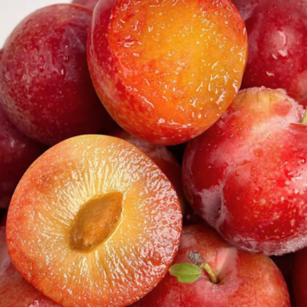 澳洲樱桃李500g/盒J