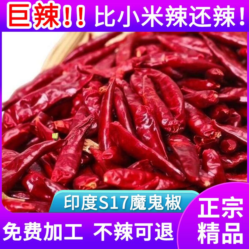 巨辣特辣干辣椒印度S17魔鬼椒商用超辣变态辣辣椒面干货
