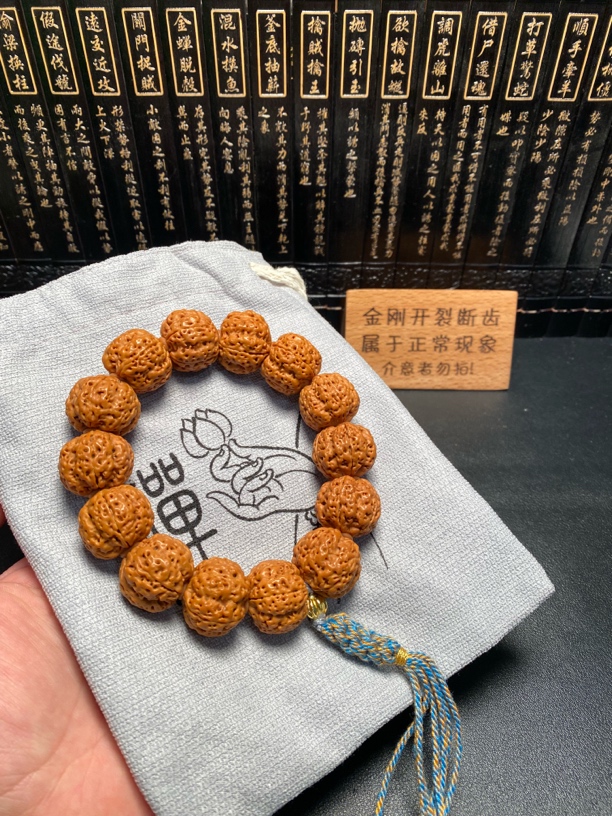 大金刚超头龙蛭梅花（18号）