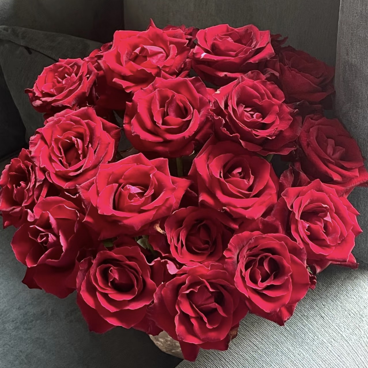 【传奇红玫瑰】家居瓶插花福建次日达顺丰包邮厦门同城鲜花批发