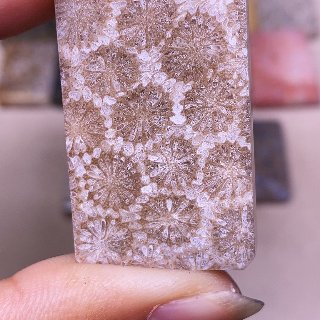 康***道硅化玉合金珊瑚玉