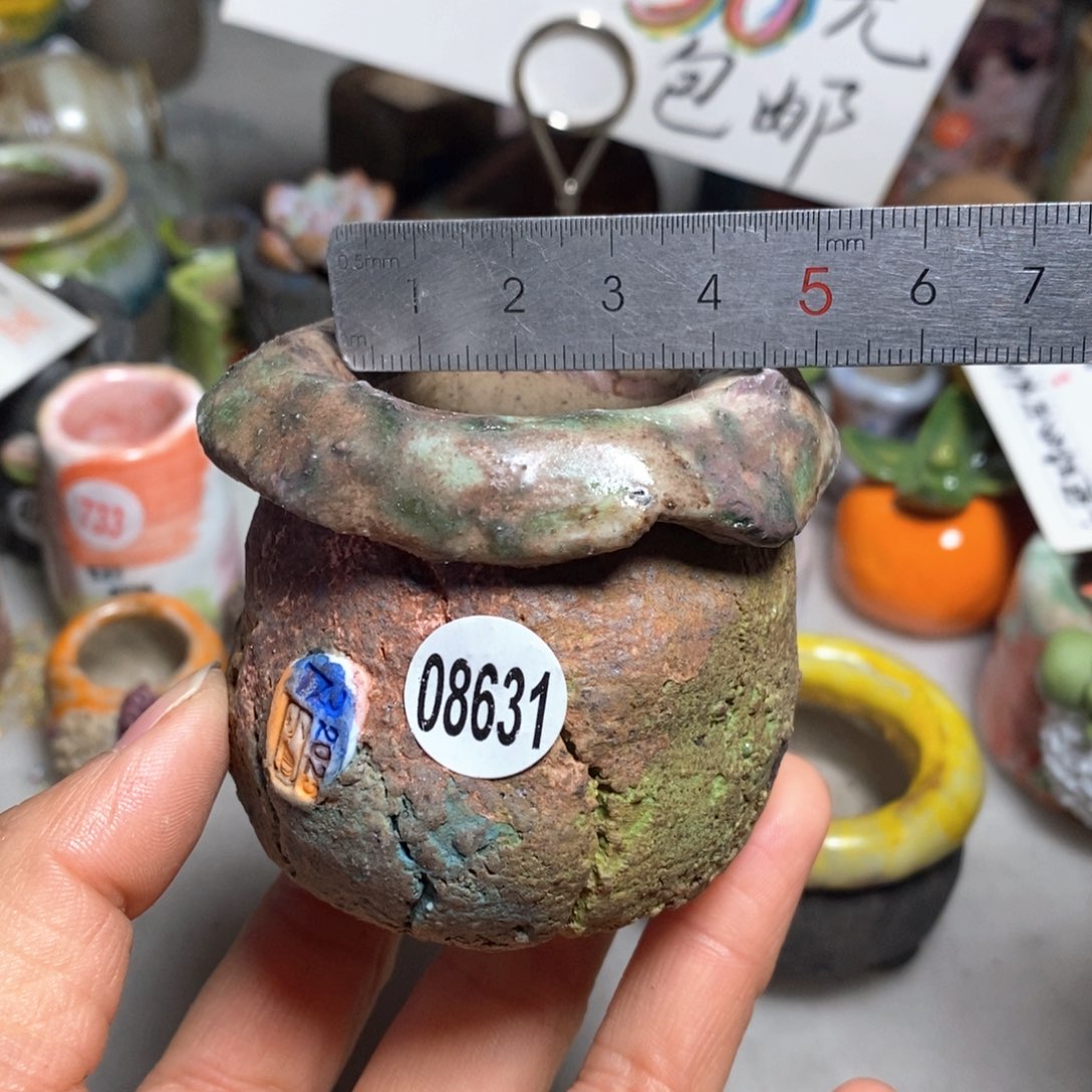 拍3送一个小礼物花盆