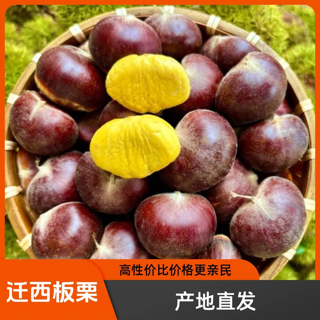 【产地直发】正宗唐山迁西板栗新鲜脆甜栗子3113新下树老树脆甜栗子