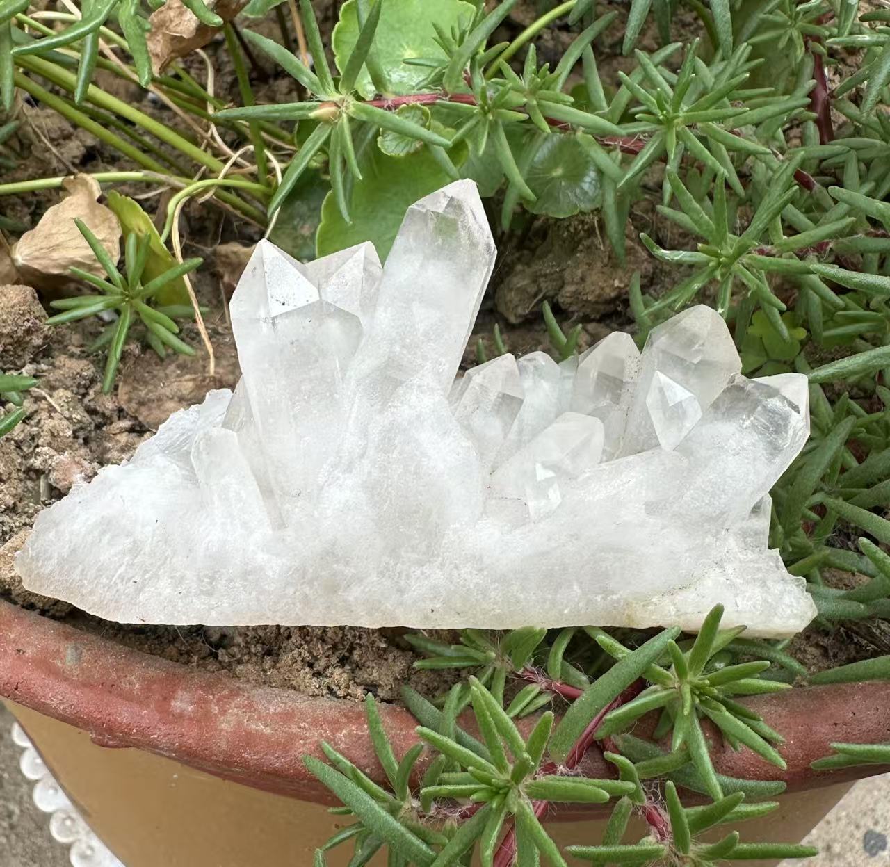 天然水晶晶簇直播