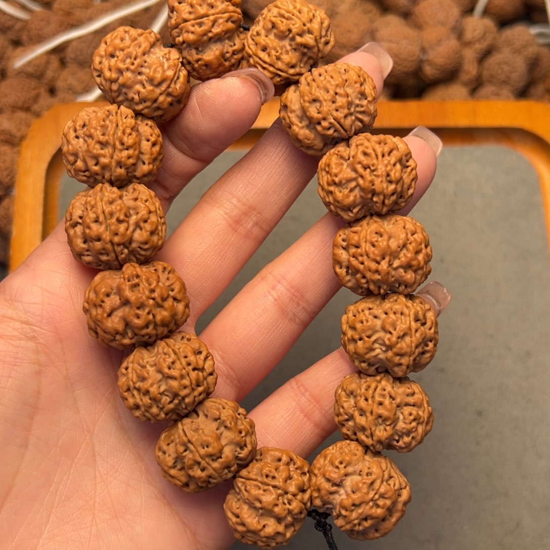 菩提9号金刚菩提深沟梅花22