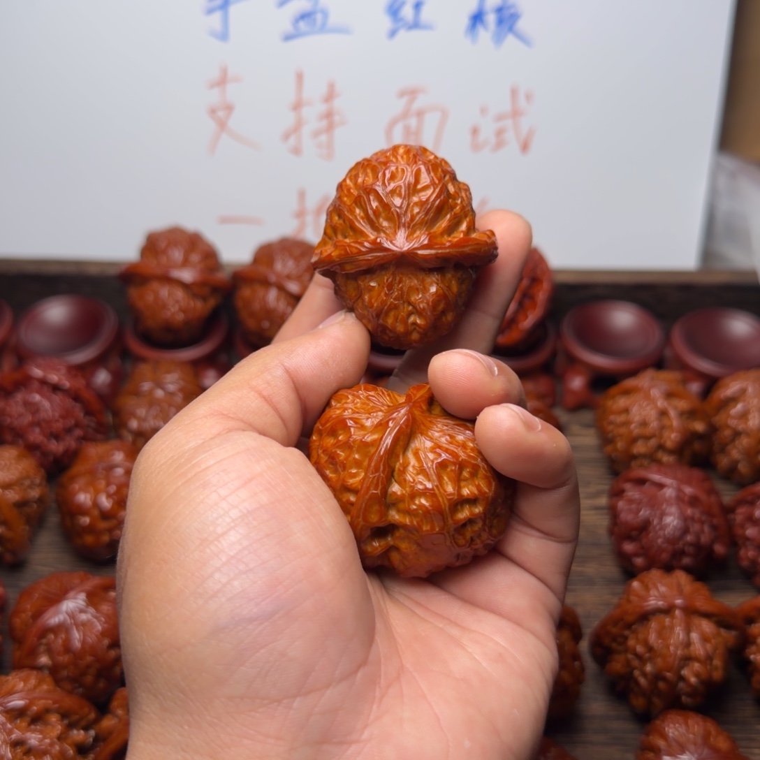 南瓜宝贝宝贝宝贝