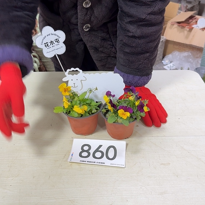 860一元随单走福利哦