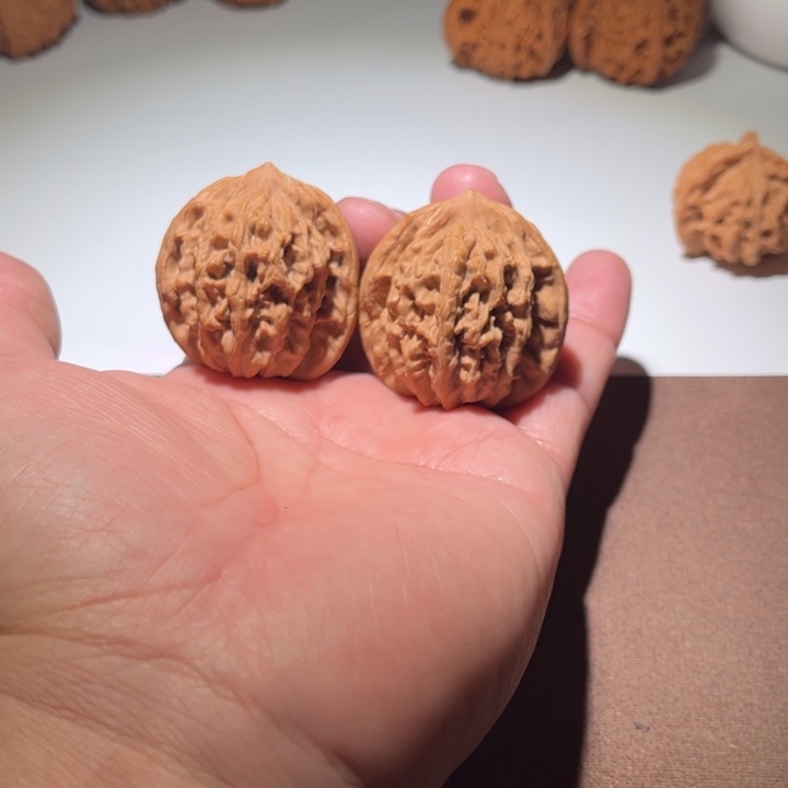 @***@精品小虎头40尺寸