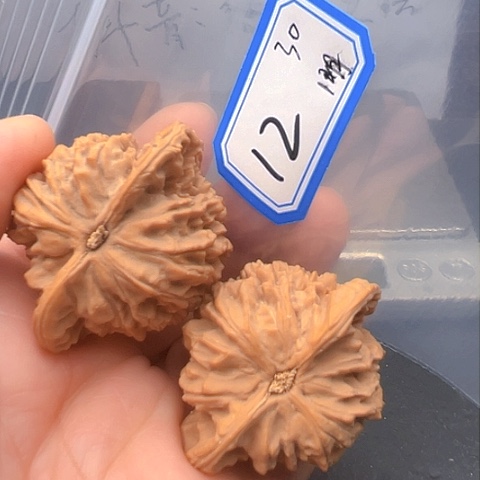 文玩核桃吊坠明**好蟠龙纹