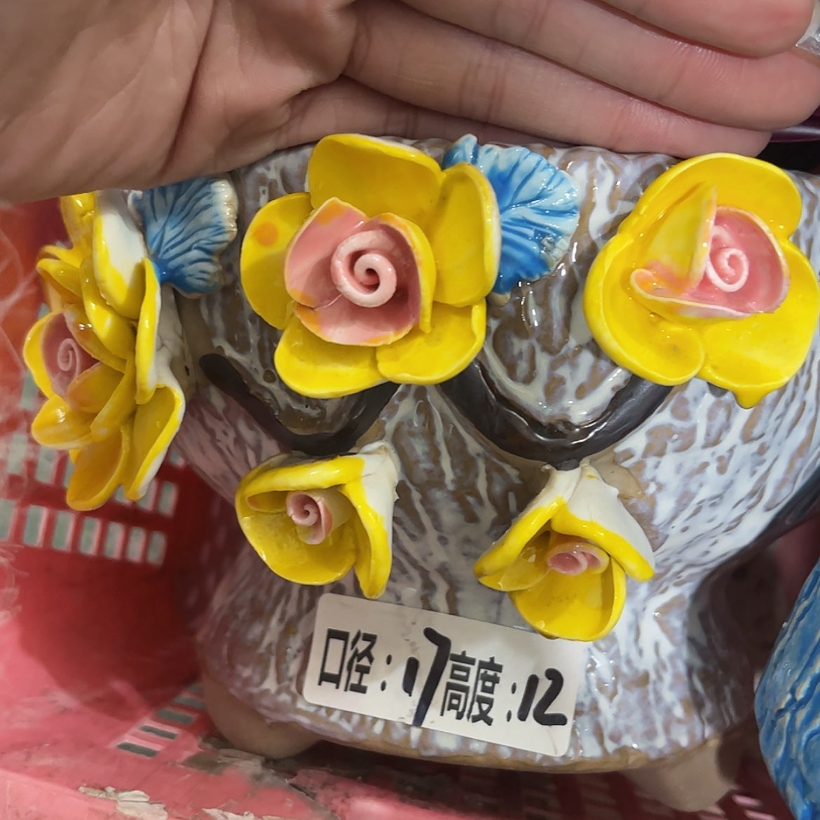 【闪购商品】红陶福利