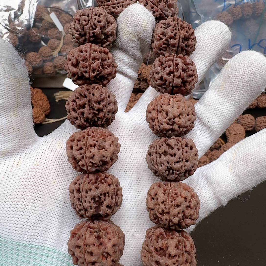 金刚菩提手串23爆肉安娜59号